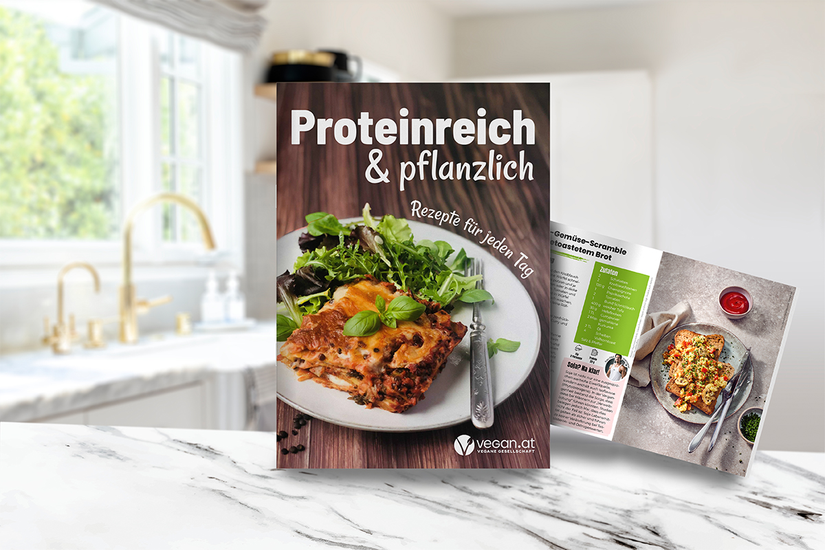 © rawpixel.com - Magnific.com Proteinbroschüre der Veganen Gesellschaft