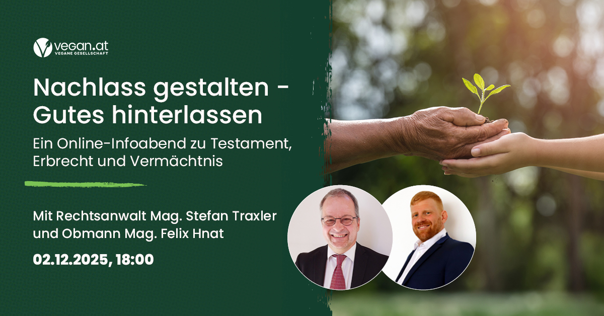 infoabend grafik