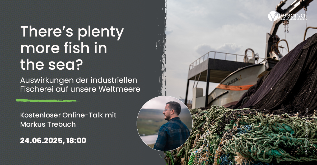 Nachschau Online-Talk „There’s plenty more fish in the sea? Auswirkungen der industriellen Fischerei auf unsere Weltmeere“ mit Markus Trebuch