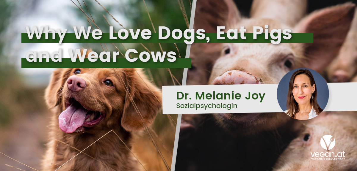 Nachschau Online-Talk: Why We Love Dogs, Eat Pigs and Wear Cows