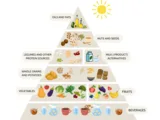 Pyramide mit Getränken, Gemüse und Obst, Vollkorngetreide, Hülsenfrüchten und pflanzlichen Milchprodukten, Nüssen und Samen sowie Supplementen.