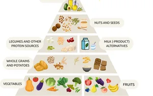 Vegane Lebensmittelpyramide: Ganz unten sind Getränke, darüber Gemüse und Obst, dann Vollkorngetreide, dann Hülsenfrüchte und Proteinquellen sowie pflanzliche Milchprodukte, dann Nüsse und Samen, dann spezielle Nährstoffe.