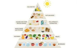 © Forschungsinstitut für pflanzenbasierte Ernährung (IFPE)
Quelle: Koch et al. 2026. Journal of Public Health. Pyramide mit Getränken, Gemüse und Obst, Vollkorngetreide, Hülsenfrüchten und pflanzlichen Milchprodukten, Nüssen und Samen sowie Supplementen.