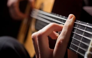 Musikinstrumente: Musizieren ohne Tier