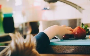 Ombudsstelle für gesunde pflanzliche Ernährung im Kindergarten