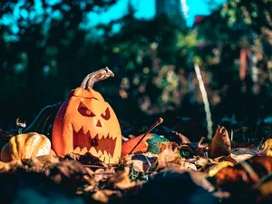 Ein ausgehöhlter Kürbis mit einem geschnitzten Gesicht liegt in herbstlichem Laub