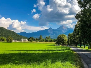 Vegan im Sommer: Things to do