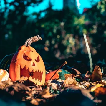 Ein ausgehöhlter Kürbis mit einem geschnitzten Gesicht liegt in herbstlichem Laub