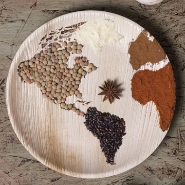 EAT-Lancet-Report 2.0: Planetary Health Diet für eine gesunde und nachhaltige Ernährung