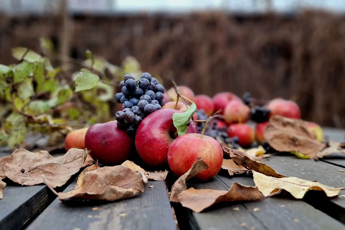 Äpfel und Weintrauben liegen zwischen herbstlichen Blättern