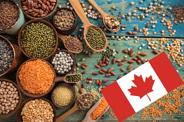 canada_plant_protein_vegan_3_0.png