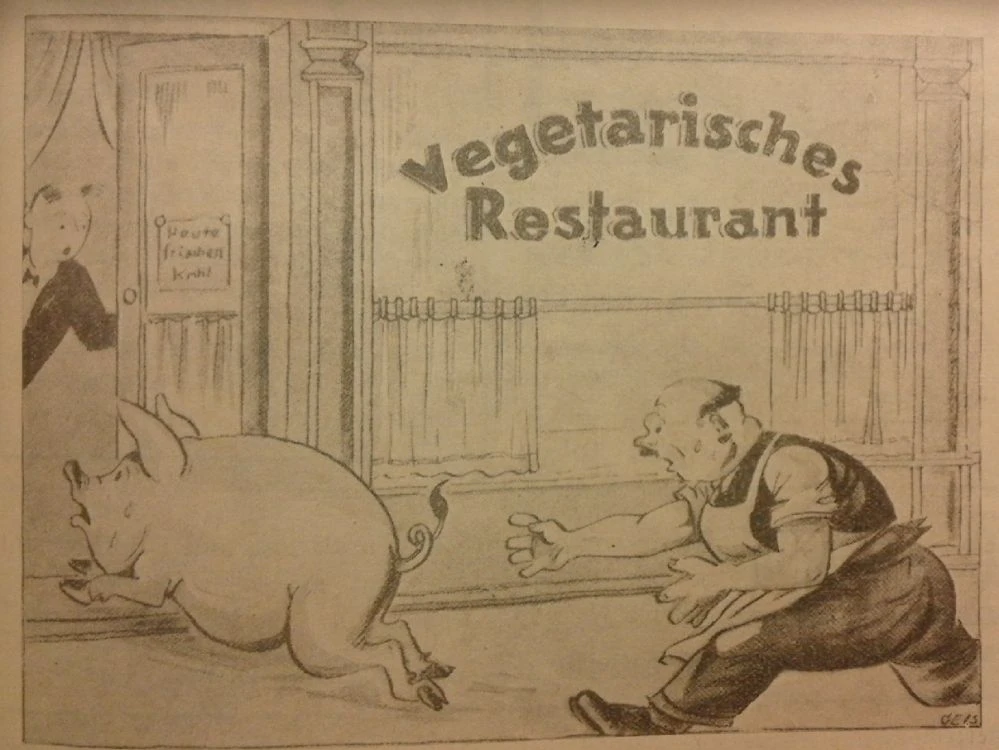 Zeichnung aus: Naturheilzeitung, 1932