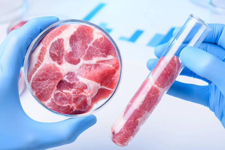Clean Meat: Chancen und Hürden beim Fleisch der Zukunft