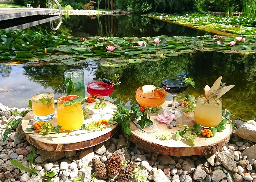 Cocktails La Vimea