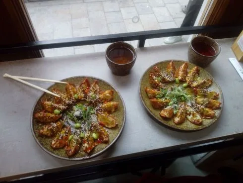 Delikatesse Gyoza im Foodstock