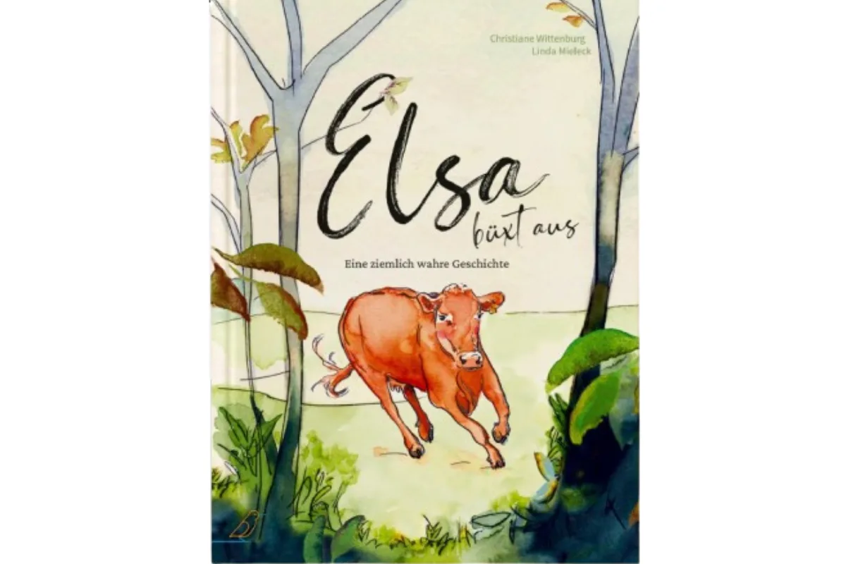 Cover des Kinderbuchs "Elsa büxt aus"