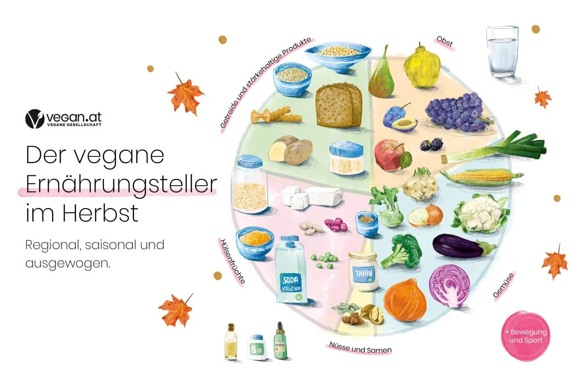 Der vegane Ernährungsteller im Herbst (regional, saisonal und ausgewogen) mit den 5 Teilen Getreide und stärkehaltige Produkte, Obst, Gemüse, Hülsenfrüchte sowie Nüsse und Samen, daneben Vitamin-B12- und Vitamin-D-Supplemente und die Info Sport und Bewegu