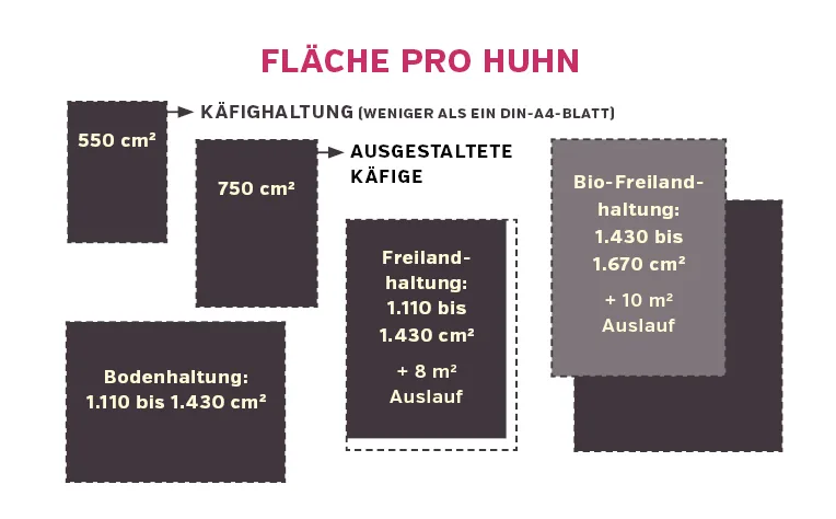 flaeche_pro_huhn.jpg