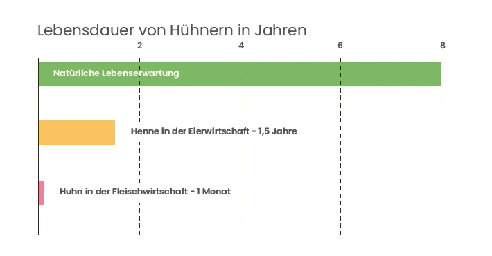 flugblatt_eier_lebensdauer.png