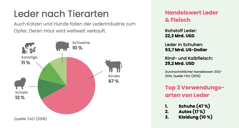 flugblatt_leder_tierarten.png