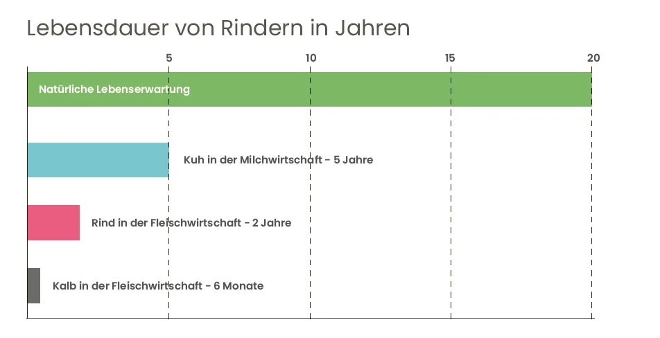 flugblatt_milch_lebensdauer.png