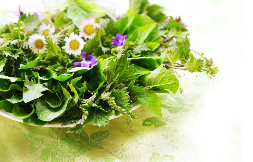 fotolia_108346679_s_0.jpg