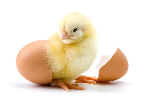 fotolia_83758308_s_0_0.jpg