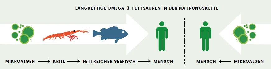 gesundheit_fische_1.png