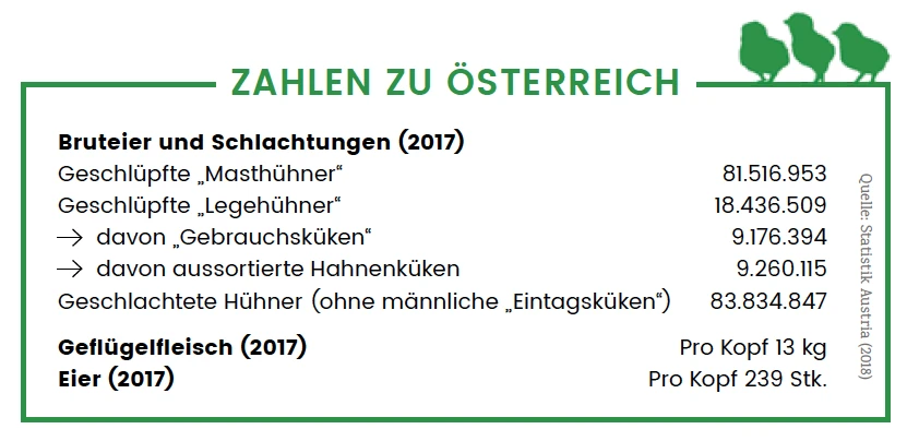 huehner_02.png