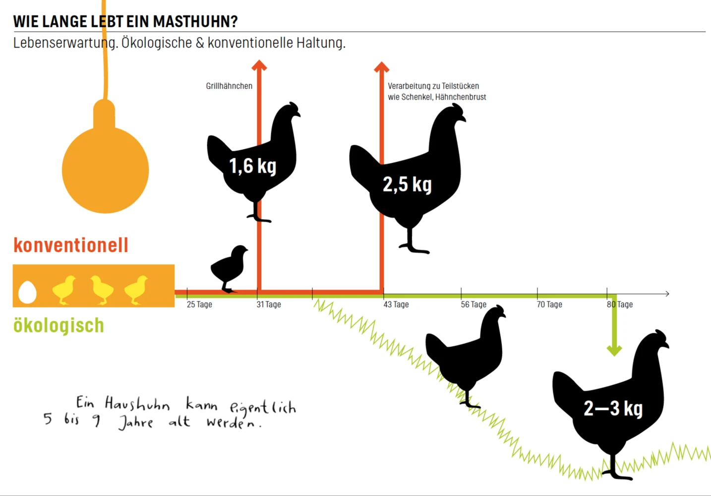huhn.png