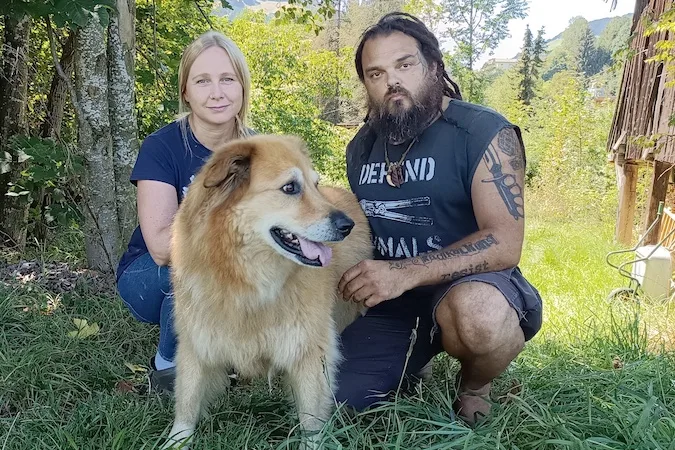 hunde_akeela.jpg