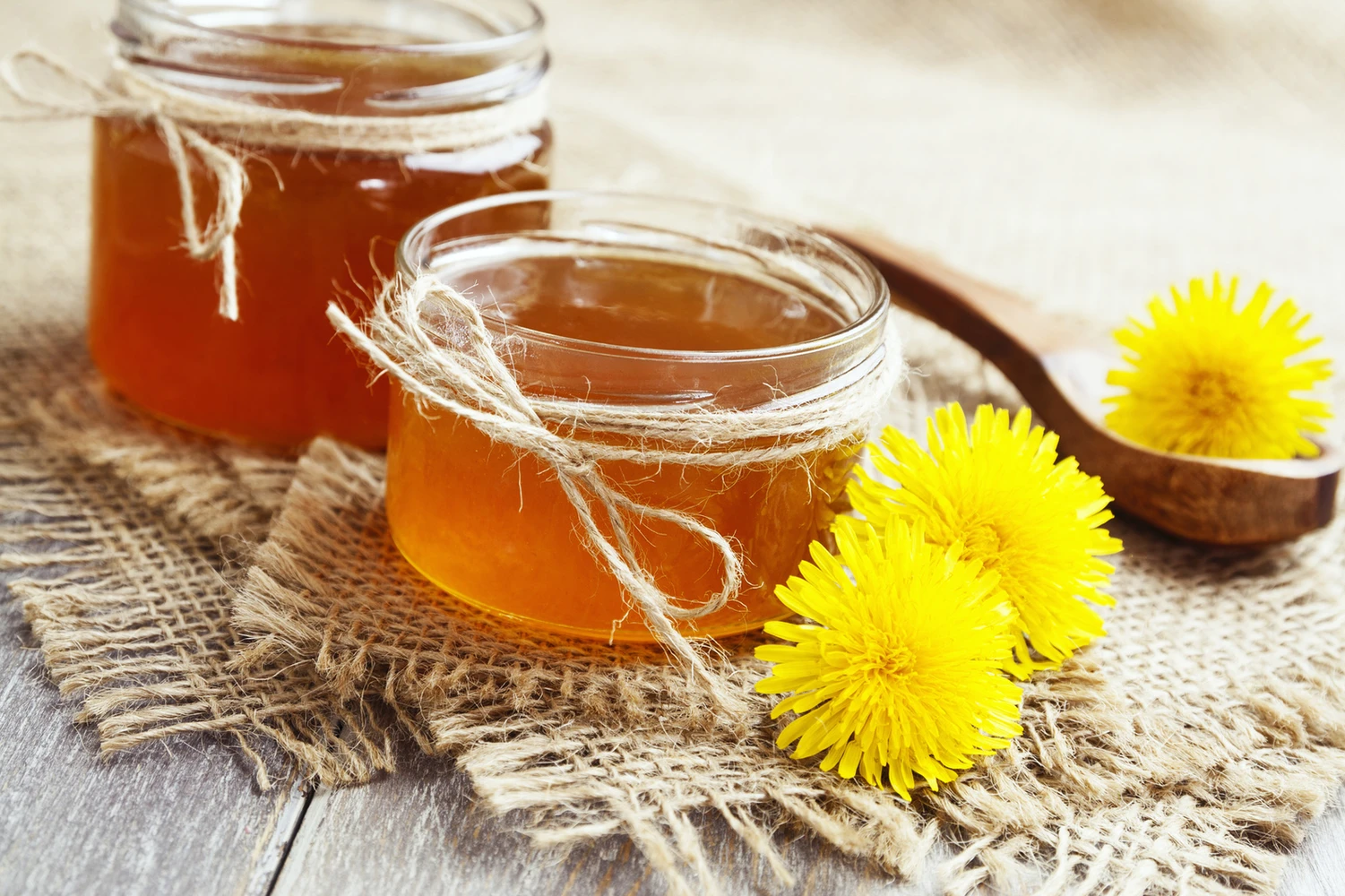 jelly_of_dandelions_m_0.jpg