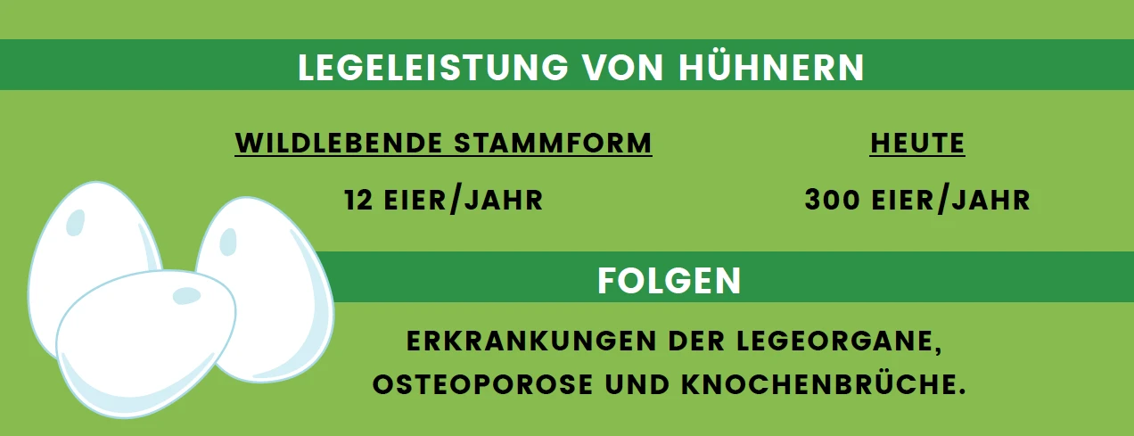 legeleistung_0.png