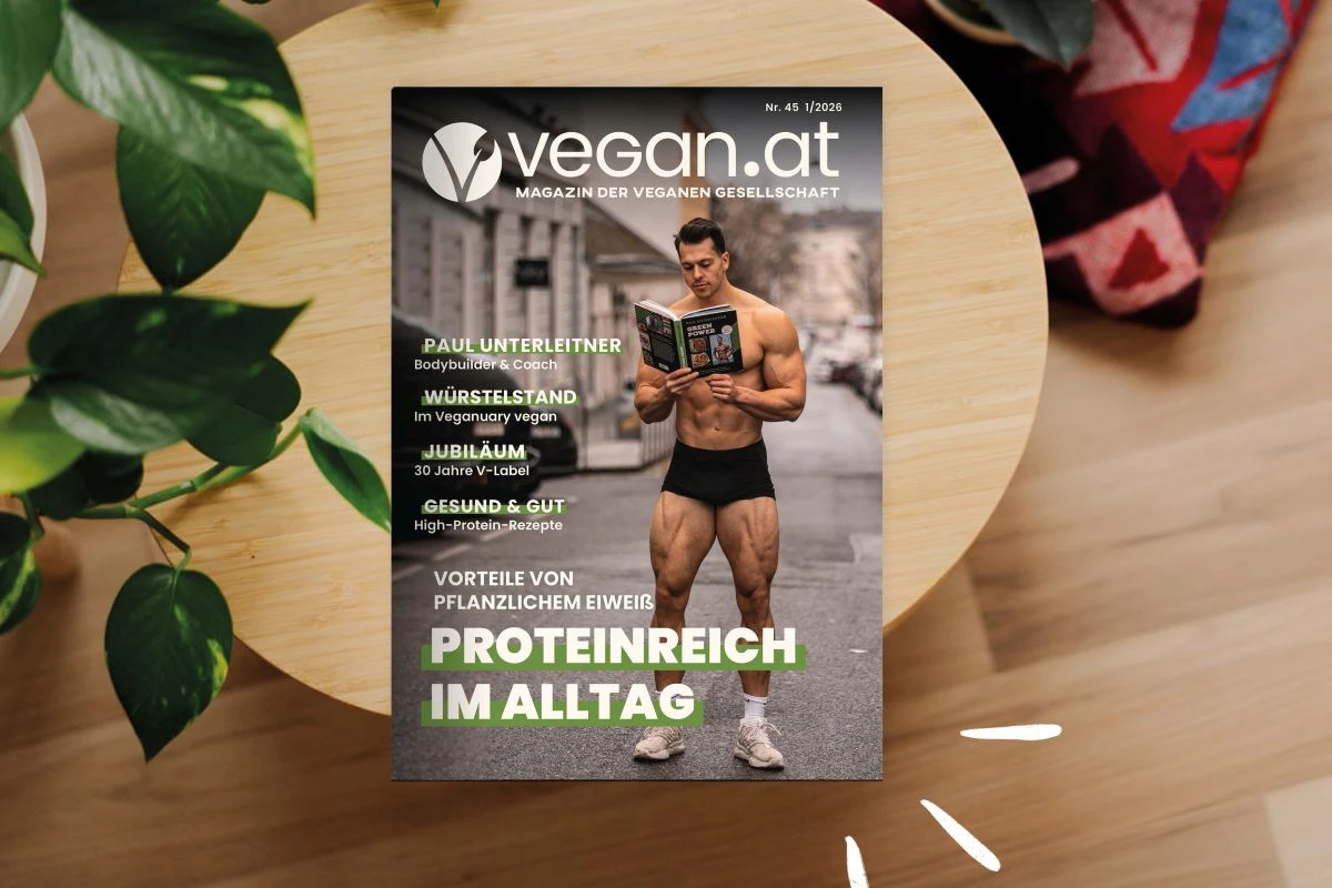 magazin_45.jpg