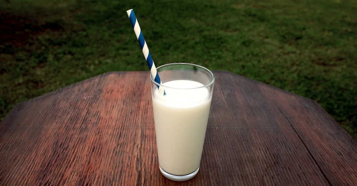 milch_1.jpg