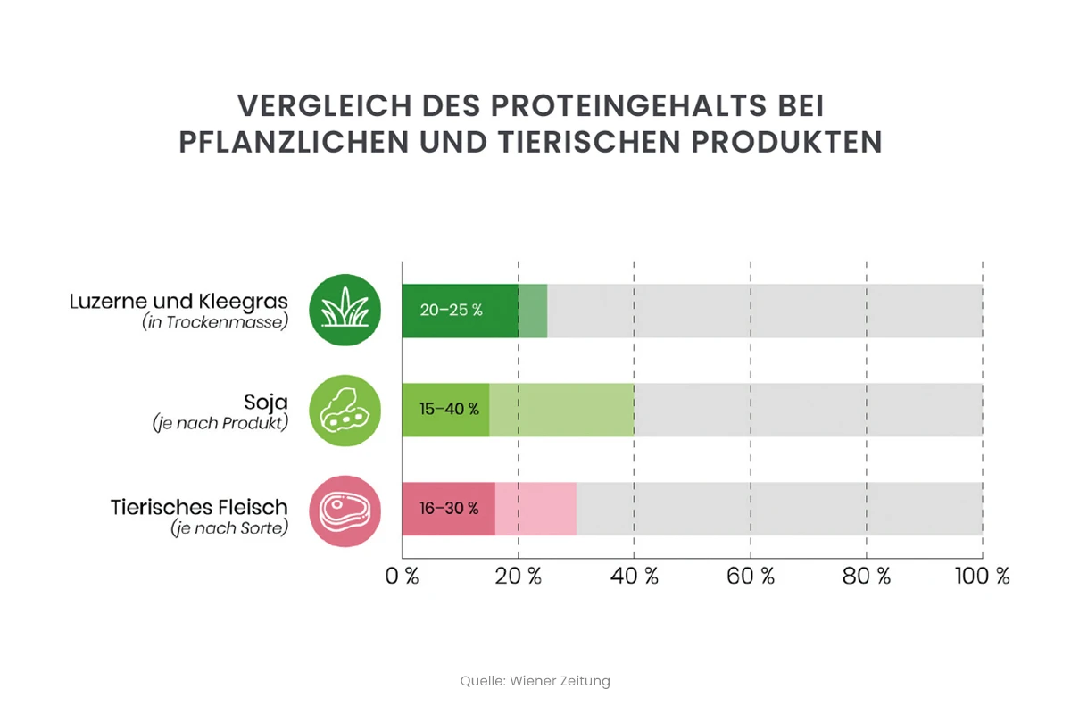 proteingehalt_1200x800px.jpg