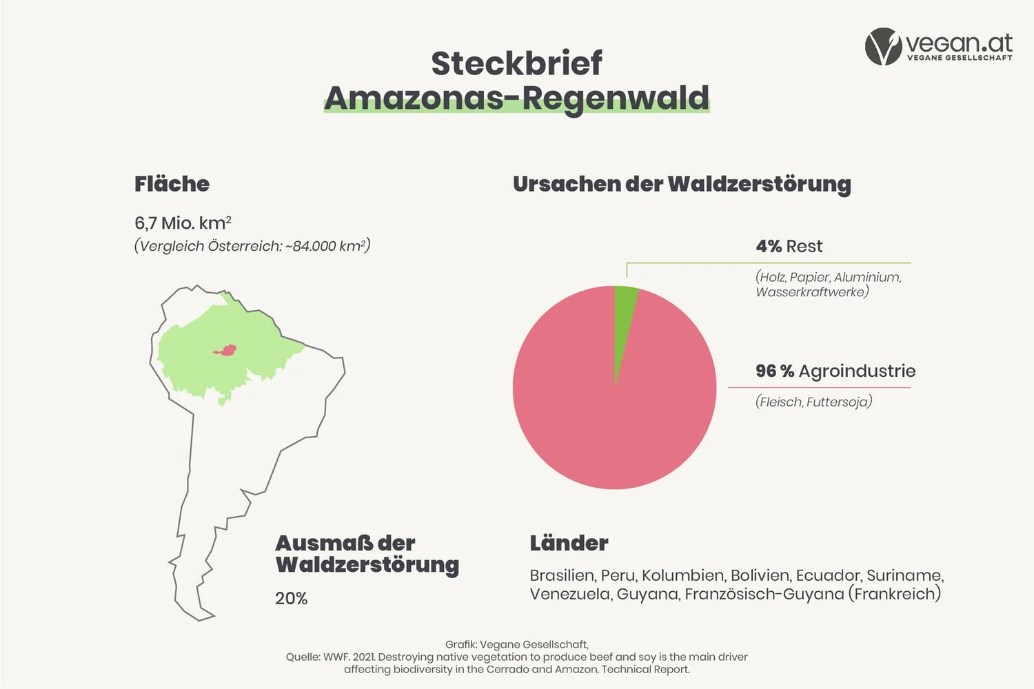 regenwald_k.jpg