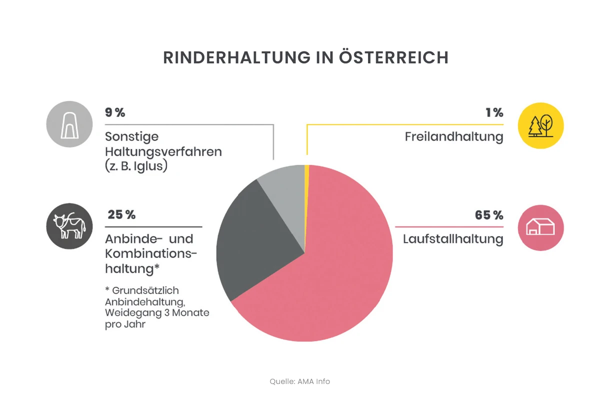 rinderhaltung_1200x800px.jpg