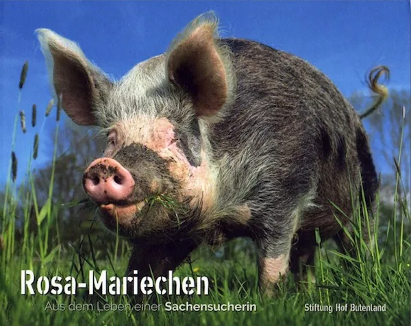 rosa_mariechen_0.jpg
