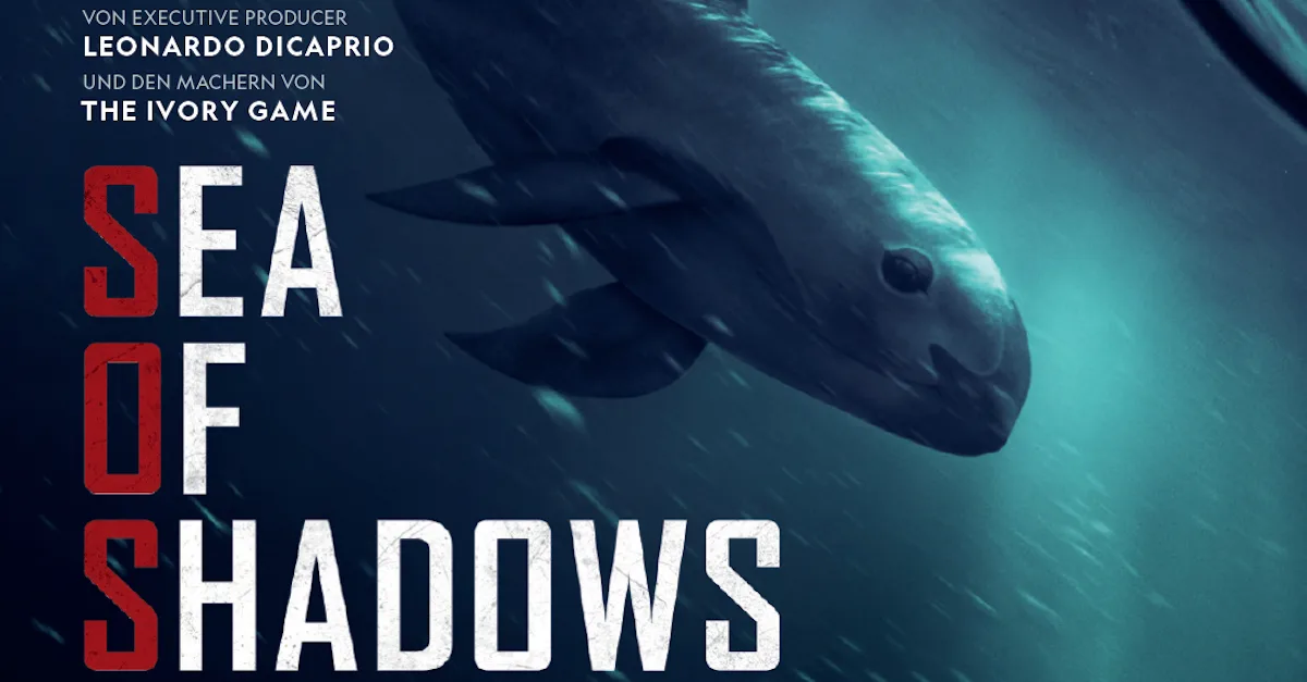 sea_of_shadows.png