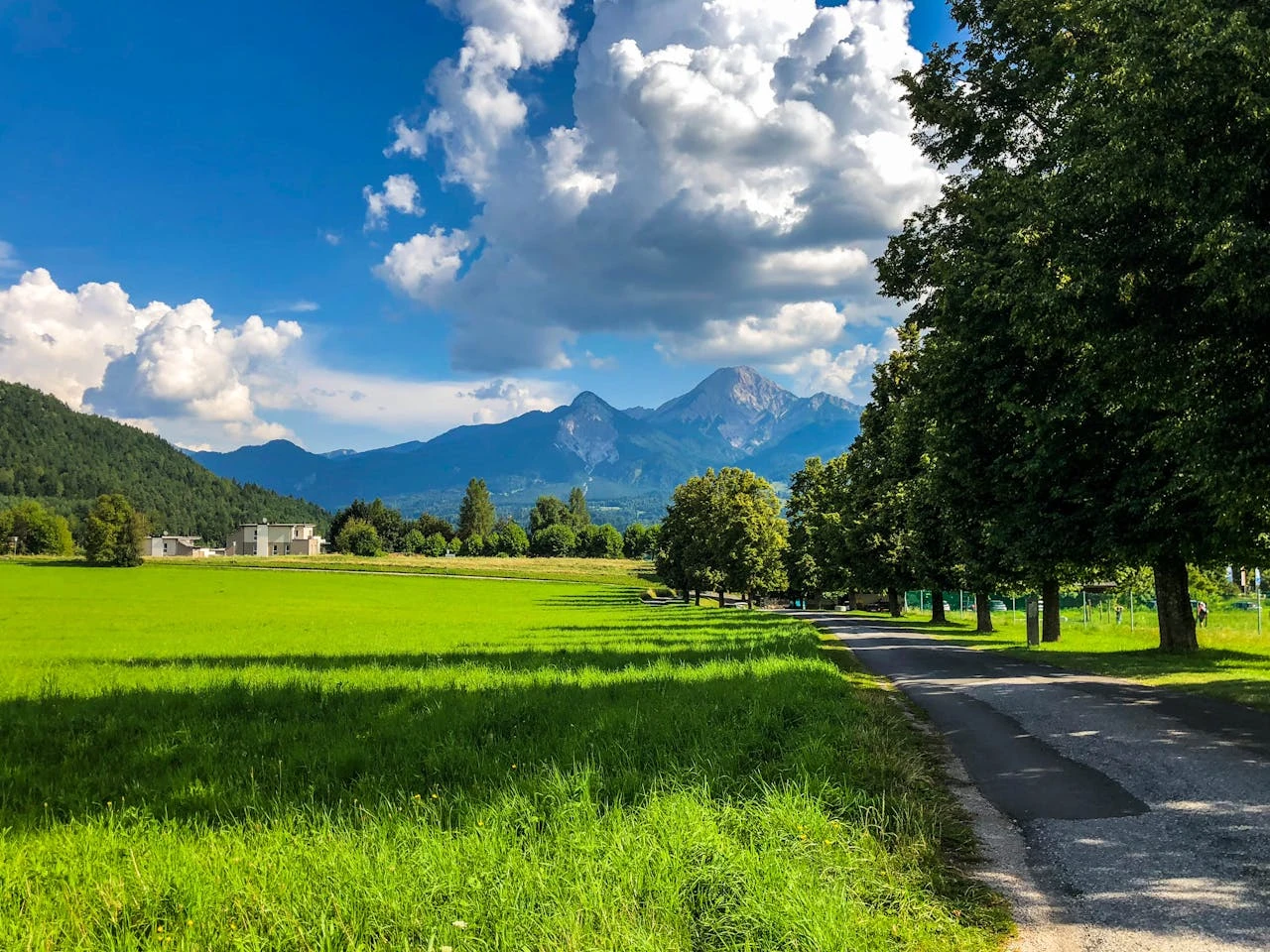 sommerlandschaft_pexels.jpg