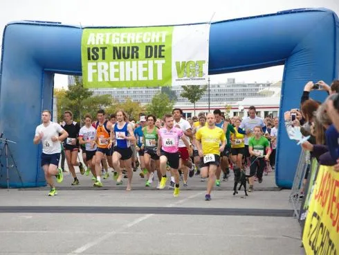 Über 600 motivierte Läufer:innen waren am Start