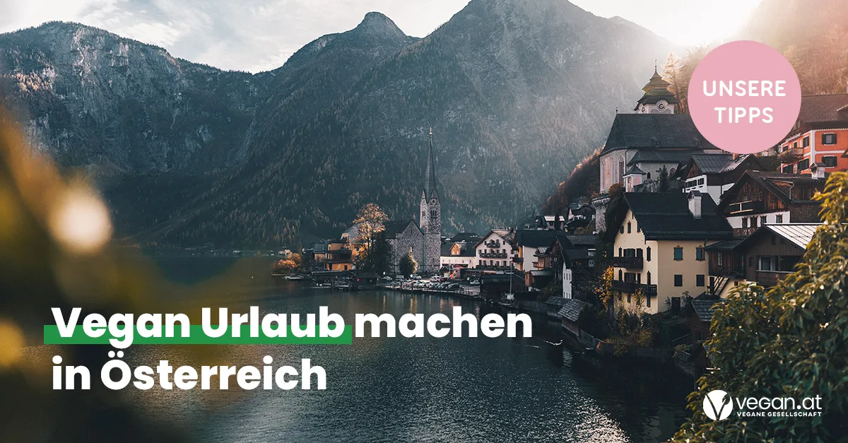 Foto von Hallstatt, es sind Häuser, Kirchen, der Hallstätter See und im Hintergrund die Berge zu sehen