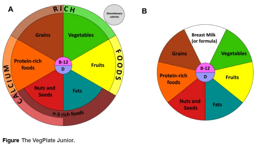vegplate_junior.png