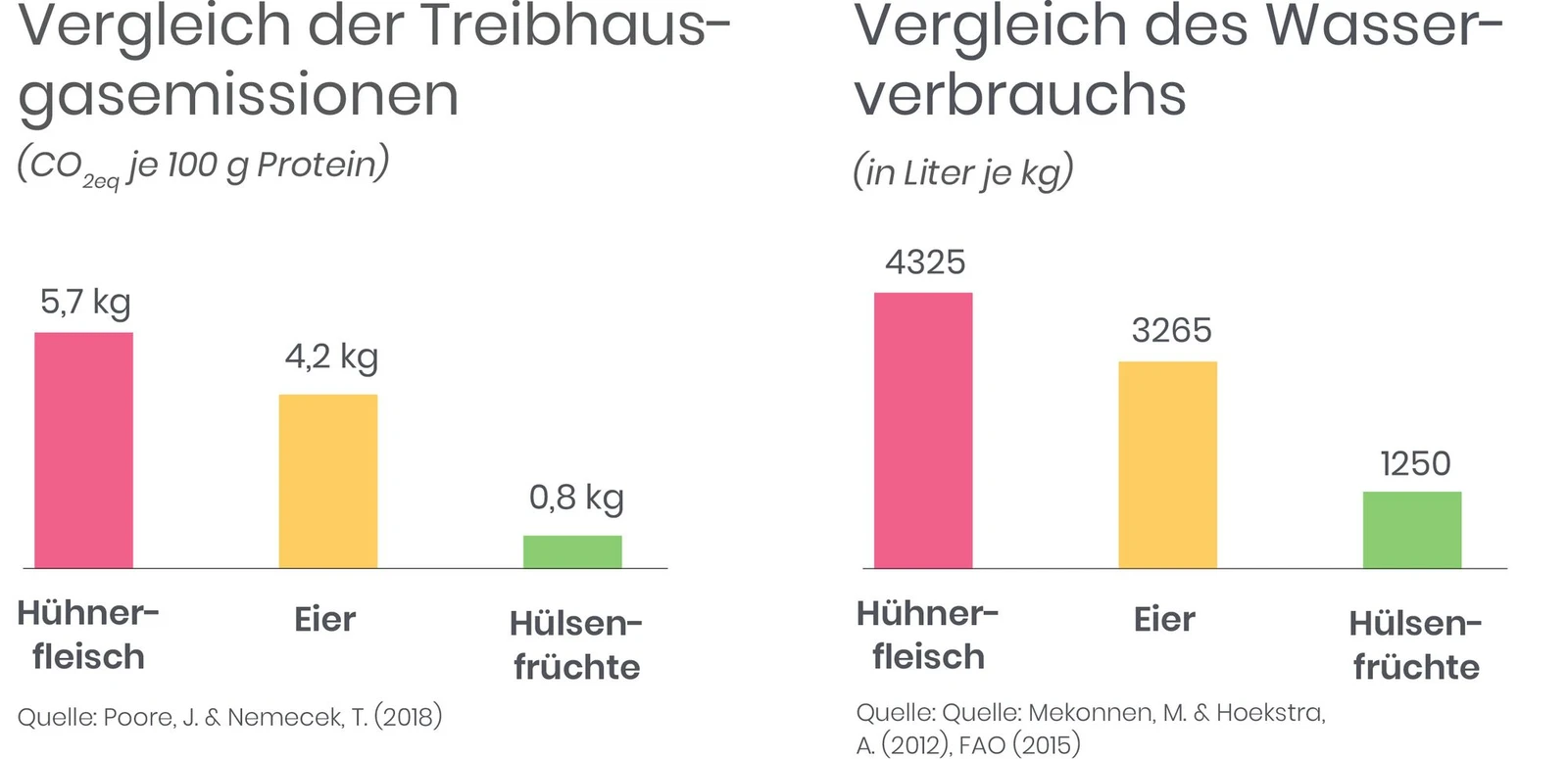 vergleich_eier_linsen.jpg