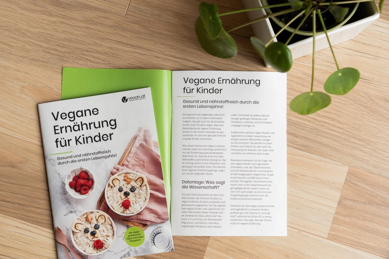 vgoe_kerstinbrueller_kinderbroschuere25_2_large_0.jpg